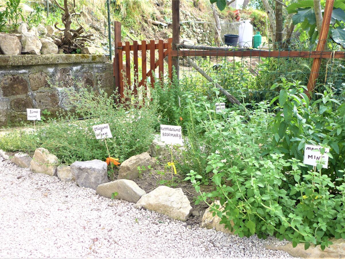 Nataly Country House, appartement Massa Lubrense - Photo 32
