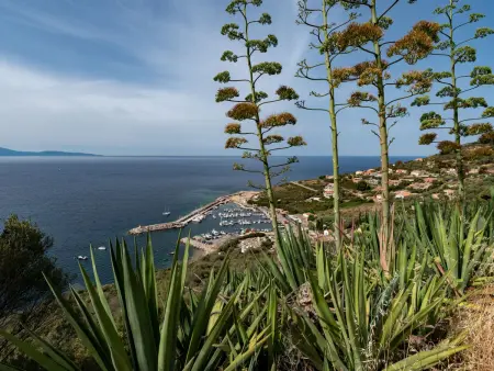 Appartement La Spelunca - Vue mer à Cargèse - Photo 15