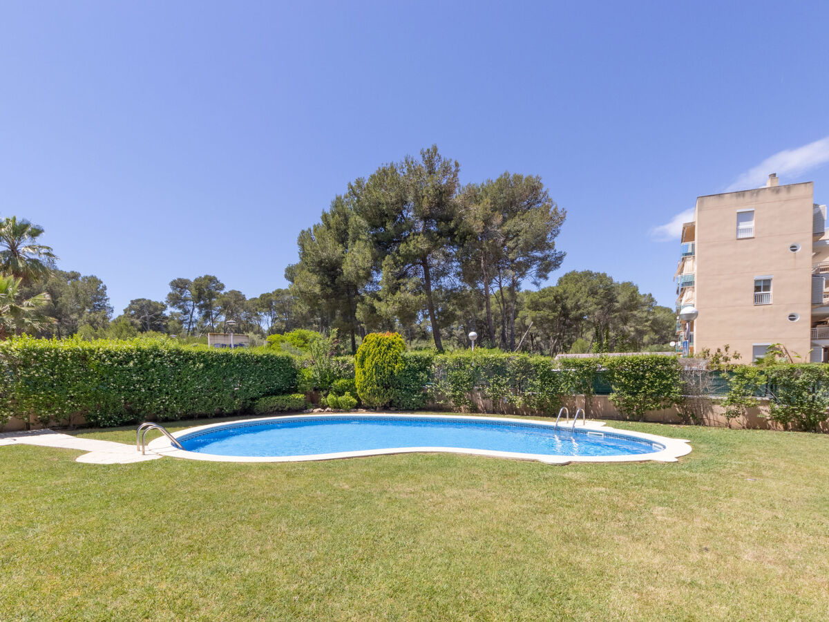 Bosc de la Montserrada – Apt 75 m² La Pineda - Photo 22