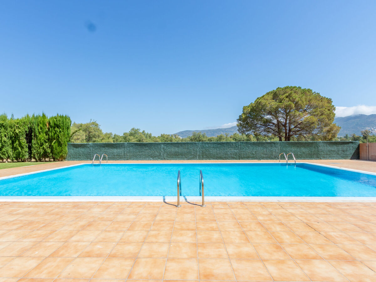 Stella Maris - Appartement 2 ch Roses, 800 m plage - Photo 1