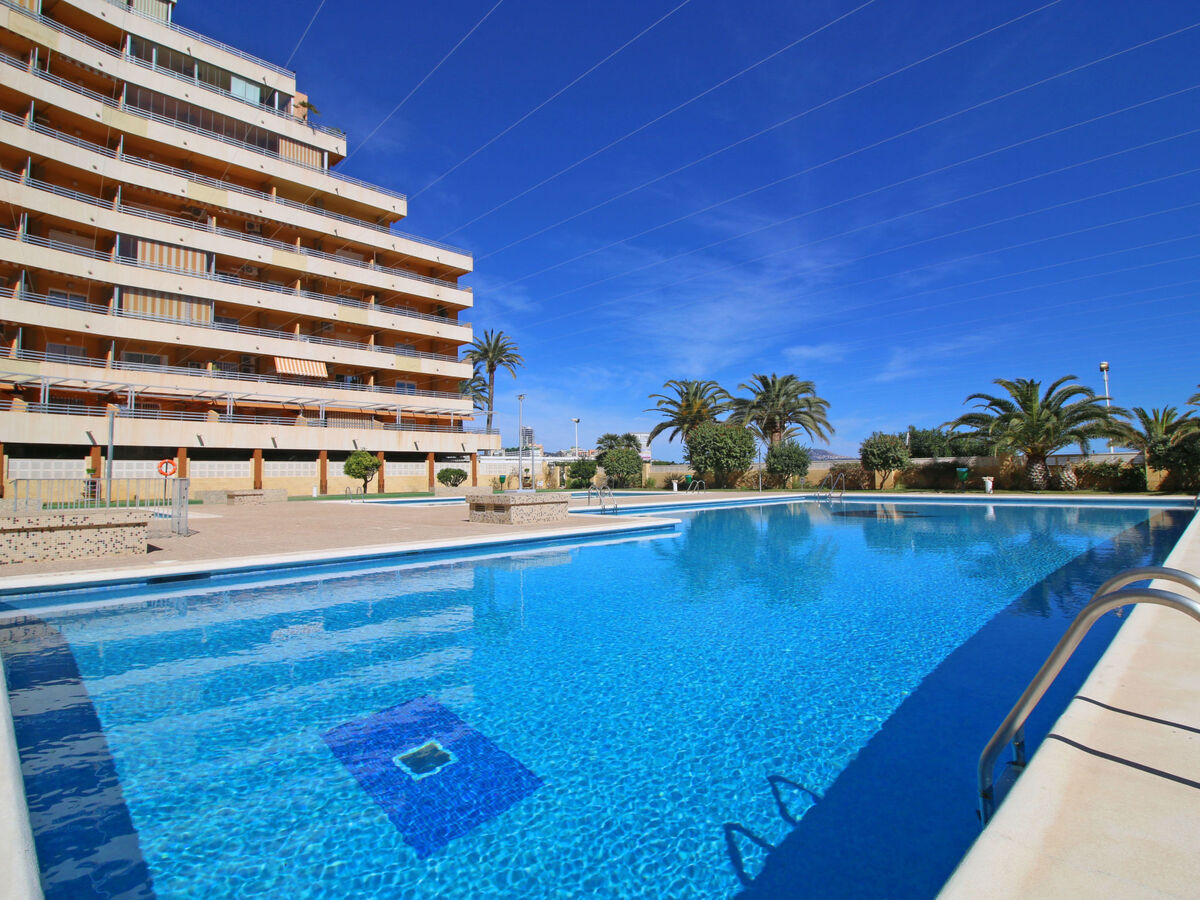 Appartement Voramar à Calpe, vue mer, à 10 m de la plage - Photo 5