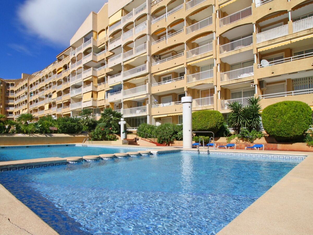 Appartement Apolo VII – Centre de Calpe, vue piscine et ville - Photo 15