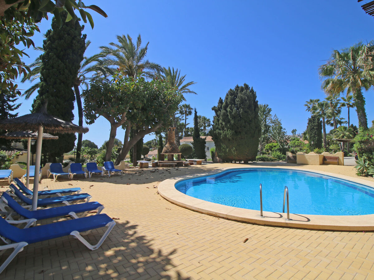Bungalow Las Cabañas à 140 m de la mer, piscine et parking - Photo 16