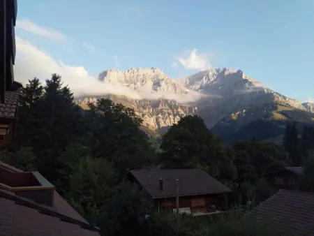 Am Liimerweg, Appartement 5 personnes à Adelboden - Photo 5