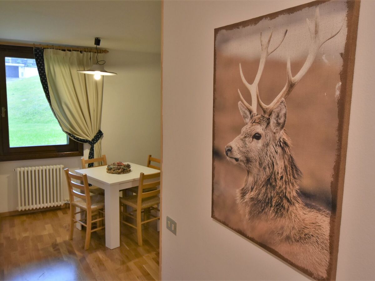 Studio Piciol - Madonna di Campiglio, 300 m des pistes - Photo 4