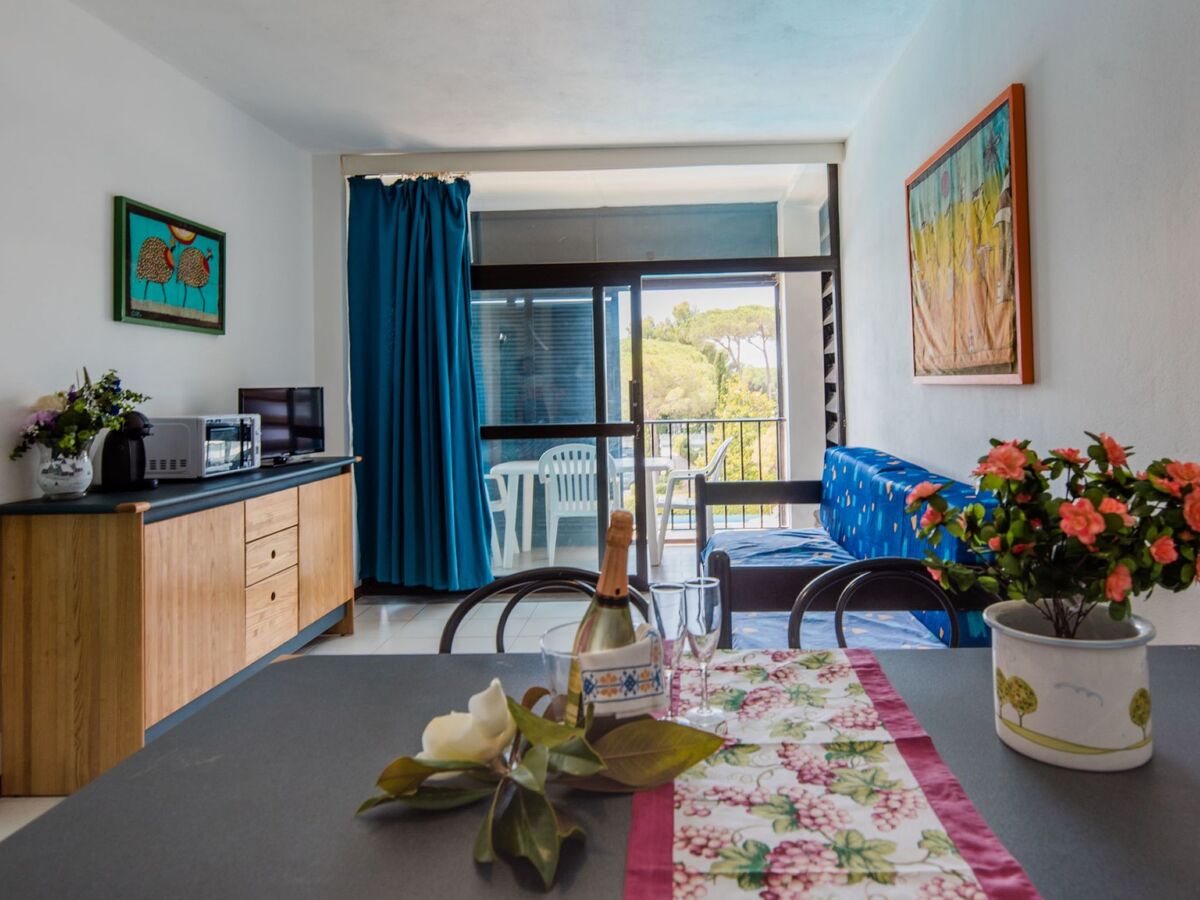 Bilo Standard, appartement 2 pièces à Marina di Bibbona - Photo 3