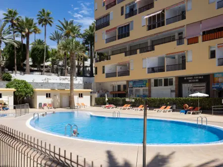 El Carmen – Appartement 45m² face à la mer, Los Cristianos : photo 19