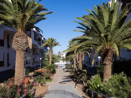 Apt 2 chambres avec grande terrasse à Playa de las Américas : photo 30