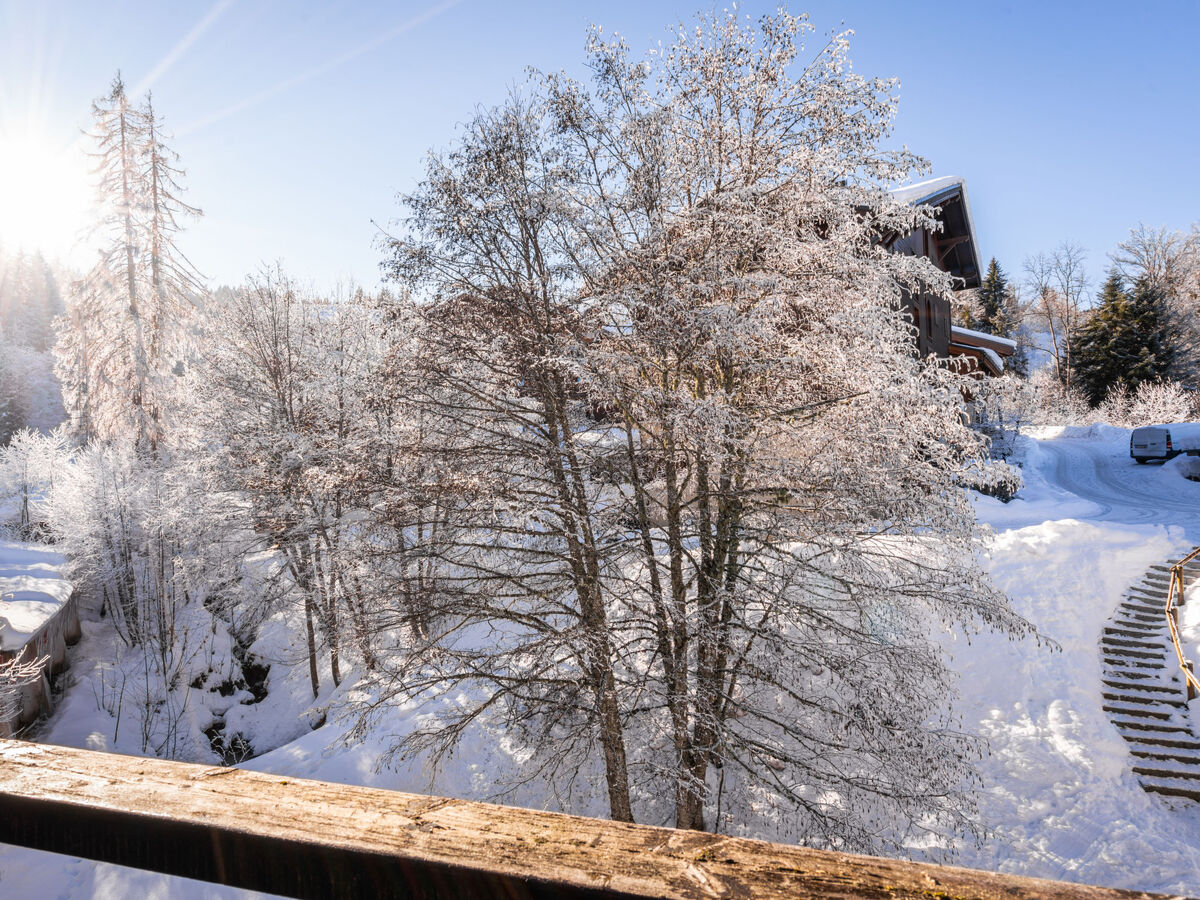 Studio Grand Morillon, 50 m des pistes à Morillon - Photo 14