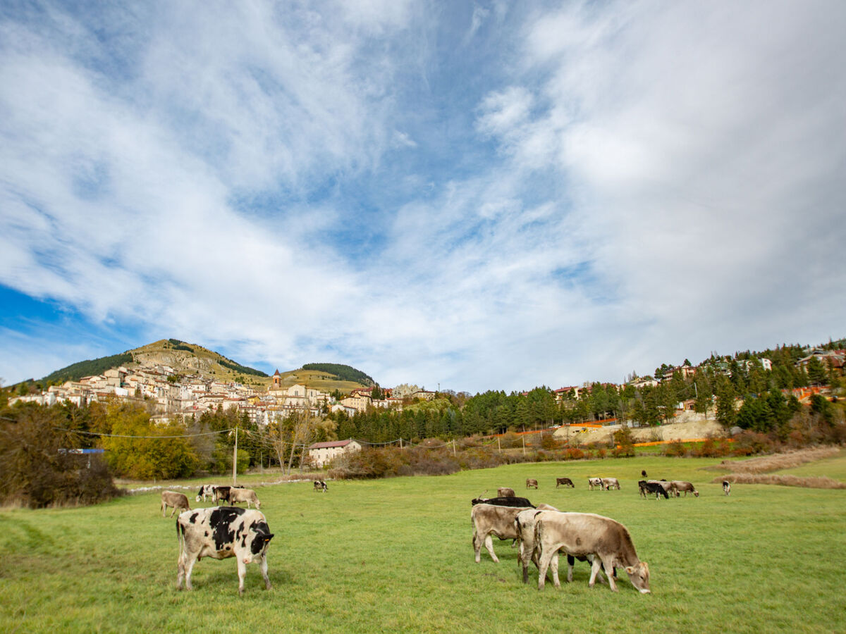 La Collina – Apt 2p à Roccaraso, vue montagne - Photo 18