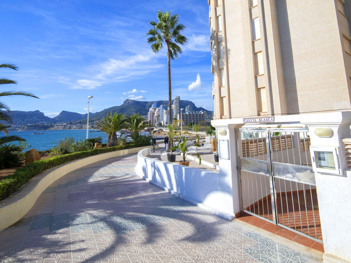 Casita Blanca – Appartement dernier étage, terrasse 66 m² - Photo 29