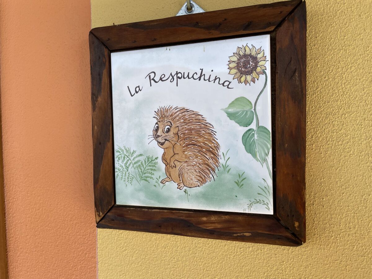 La Respuchina, appartement 2 pièces avec vue lac - Photo 28