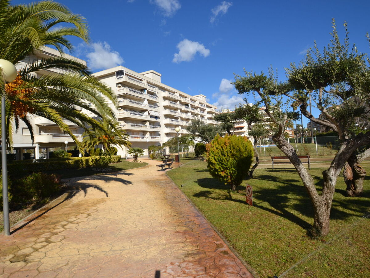 Aguamarina 7 – Appartement 6 pers. à 250 m de la plage - Photo 37