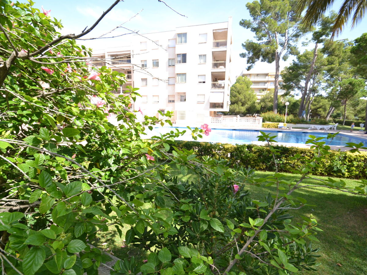 Appartement Cala Dorada, 6 pers., terrasse à 200 m mer - Photo 20