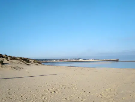 Les Alcyons T2, Appartement 6 personnes à Le Verdon sur Mer - Photo 28