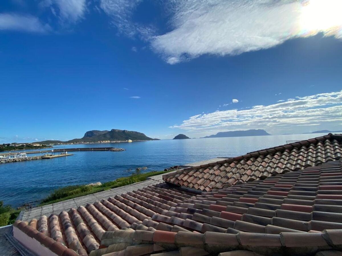Mirto - Appartement 2 pièces face mer à Golfo Aranci - Photo 2