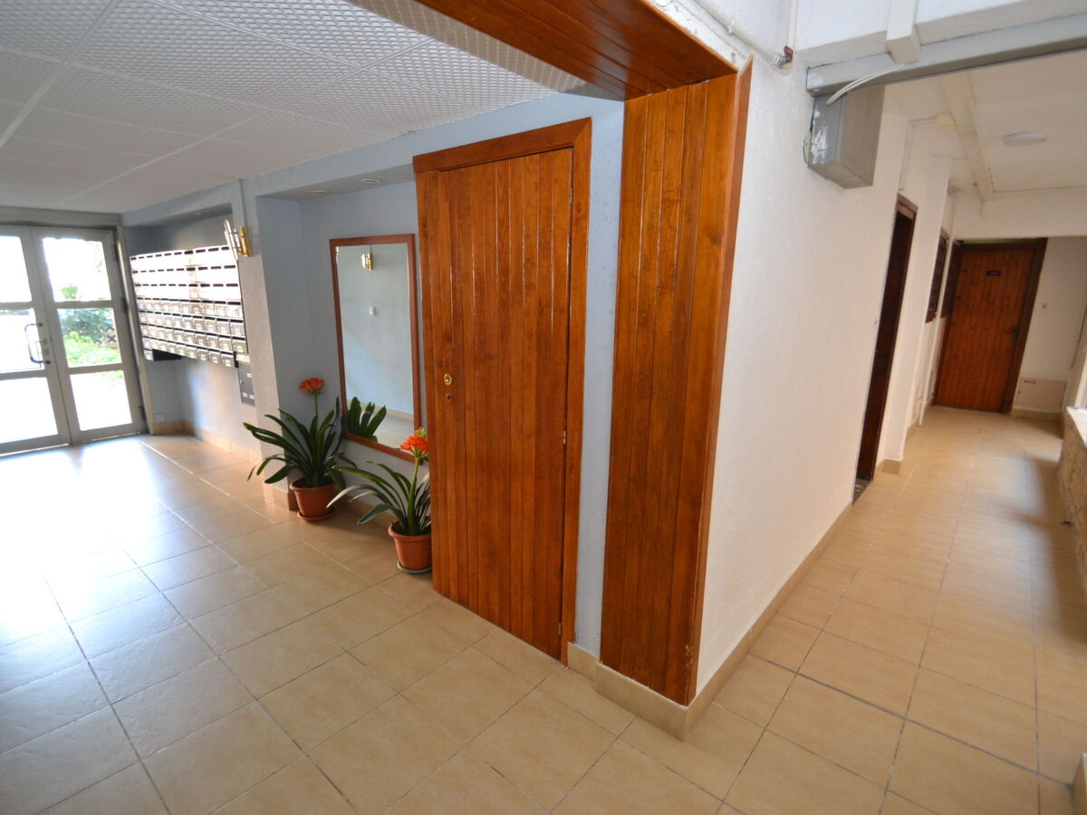 Flandria, appartement 2 pièces à 400 m de la plage - Photo 23