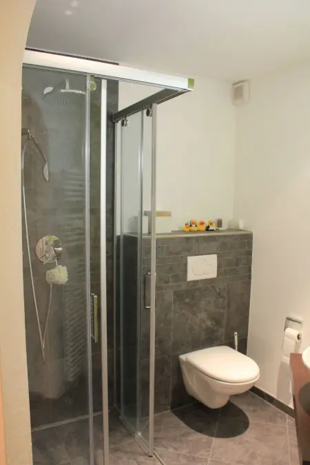 Soleval Tavanera 135, Appartement 4 personnes à Lenzerheide - Photo 11