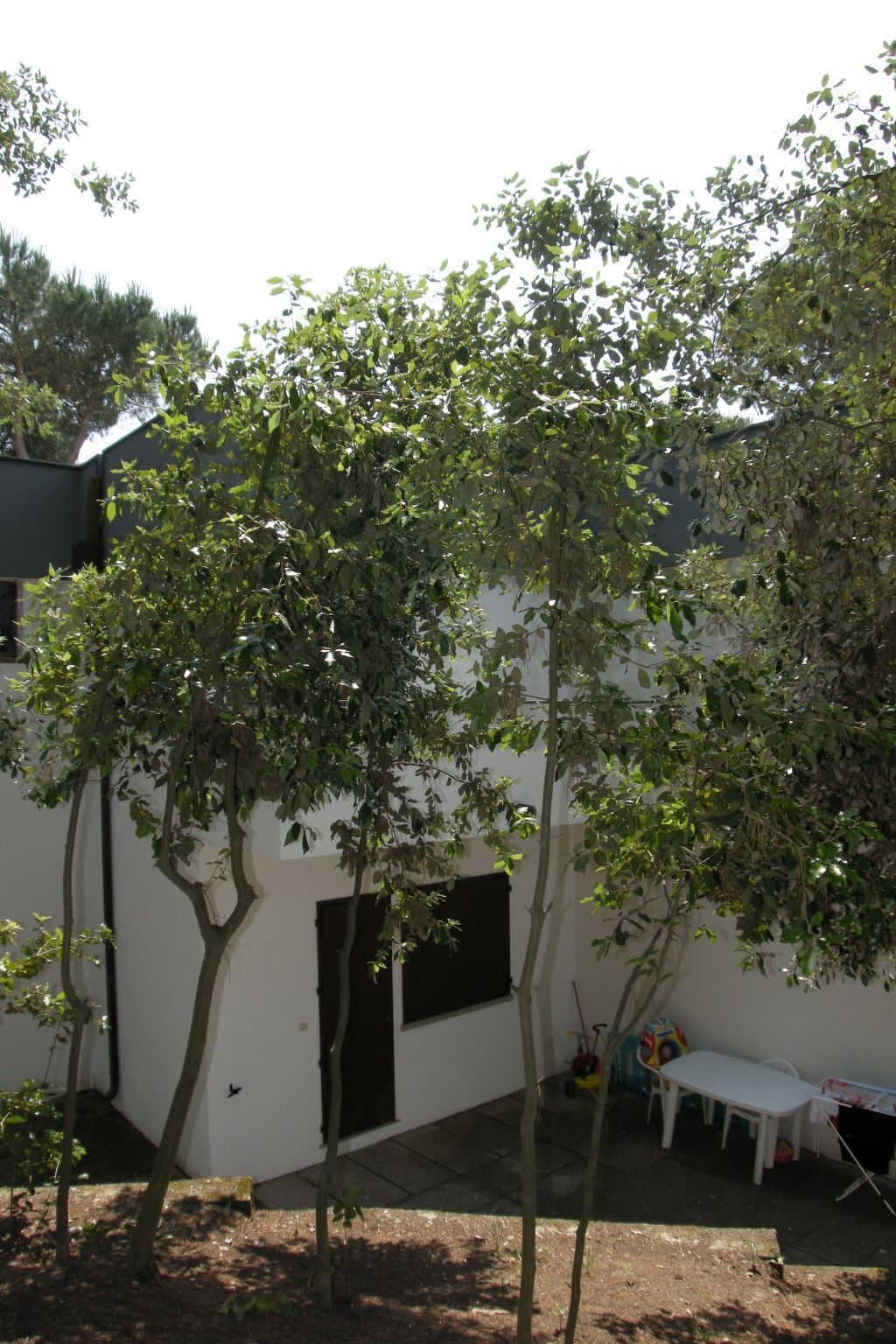 Marcello - Appartement 4 pers. à 500 m de la mer - Photo 17