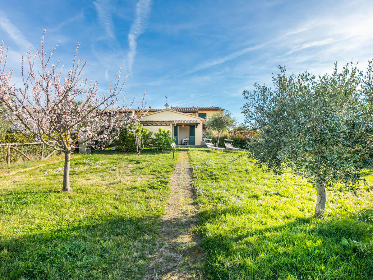 Appartement Lavender à Pomaia avec jardin et piscine - Photo 1