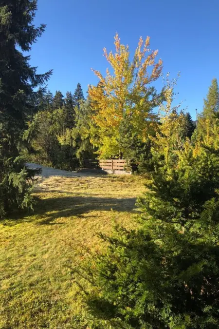 Uehlinger Seegarten Wirz, Appartement 4 personnes à Lenzerheide - Photo 15