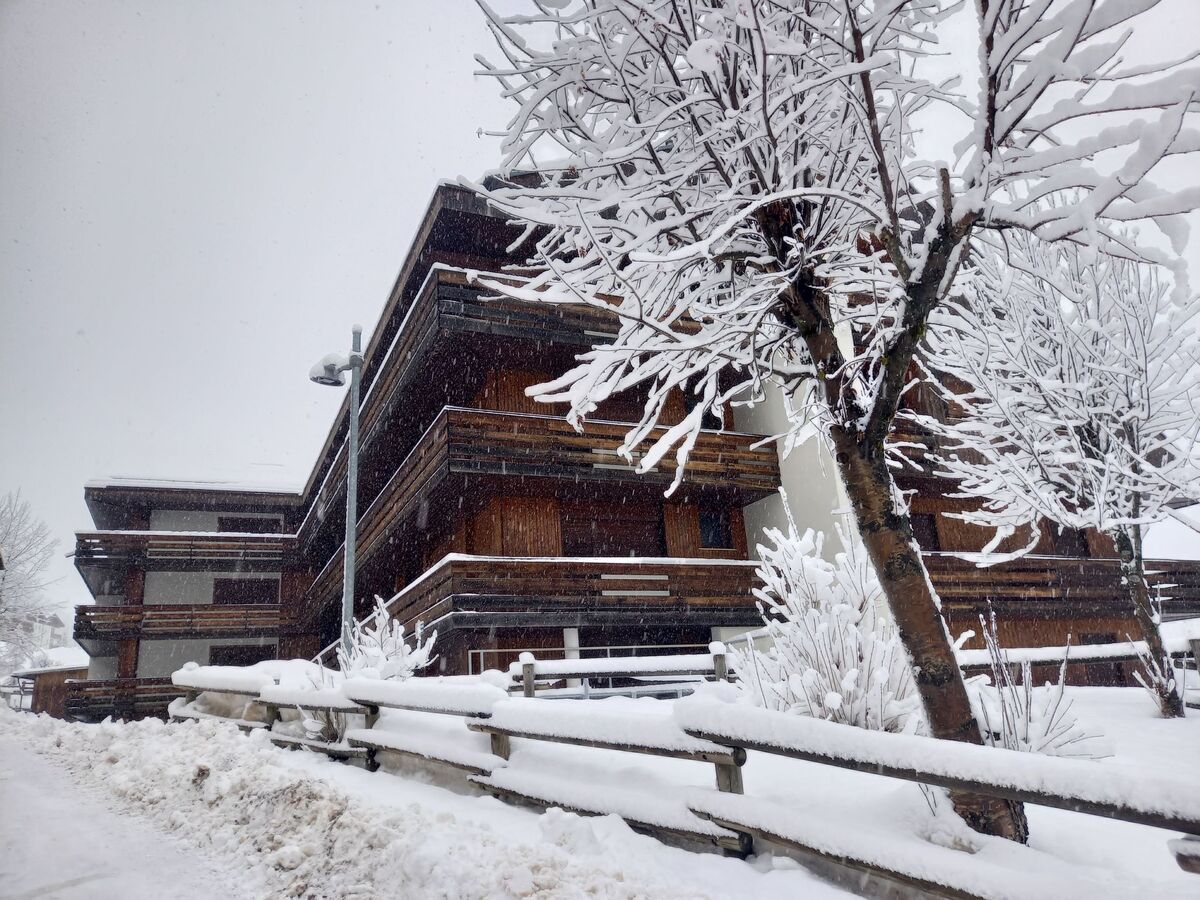 Condominio Giulia – Apt 3 pièces rénové à Canazei - Photo 25