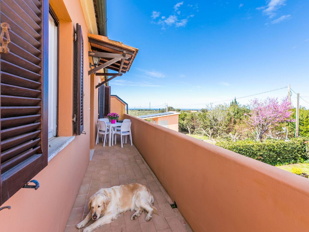 Gino – Appartement 2 pièces avec balcon à Cecina - Photo 6