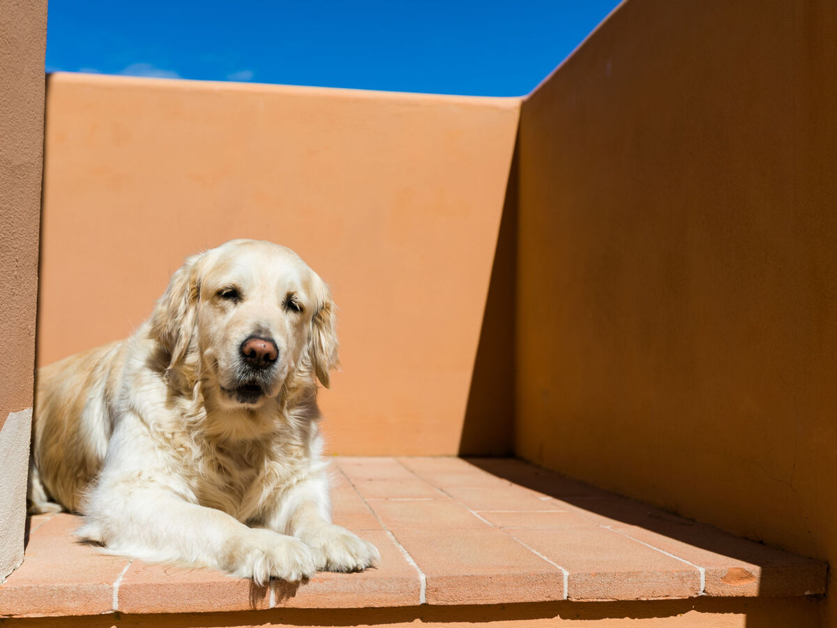 Gino – Appartement 2 pièces avec balcon à Cecina - Photo 21