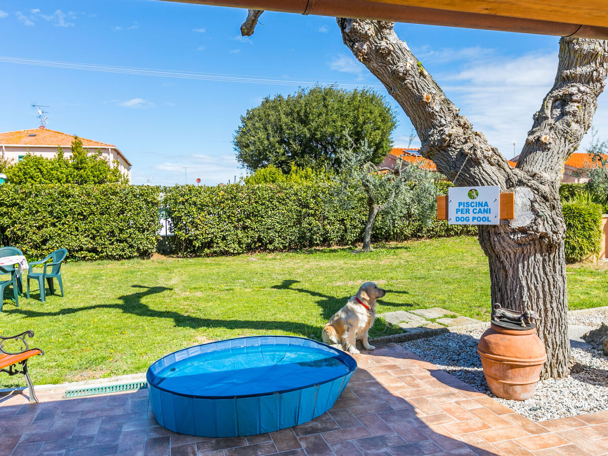 Gino – Appartement 2 pièces avec balcon à Cecina - Photo 22