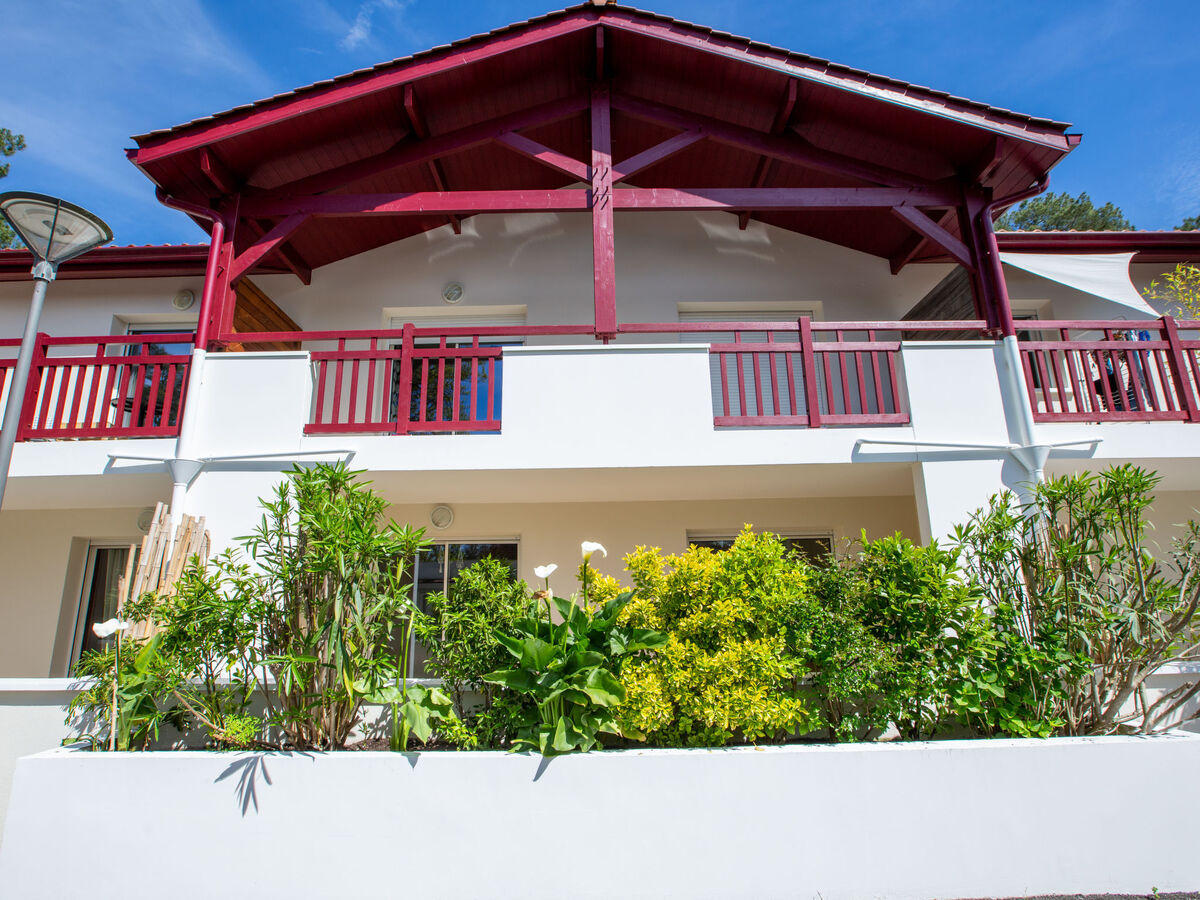 Appartement Villa Marine à Seignosse, 46 m², terrasse couverte - Photo 18