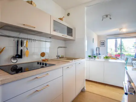 Apt 2 pièces 39 m² avec terrasse à Cagnes-sur-Mer : photo 12