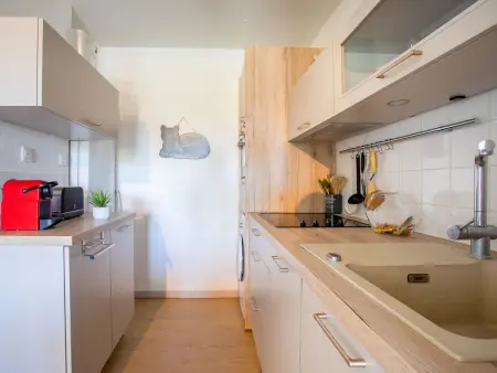 Apt 2 pièces 39 m² avec terrasse à Cagnes-sur-Mer : photo 13
