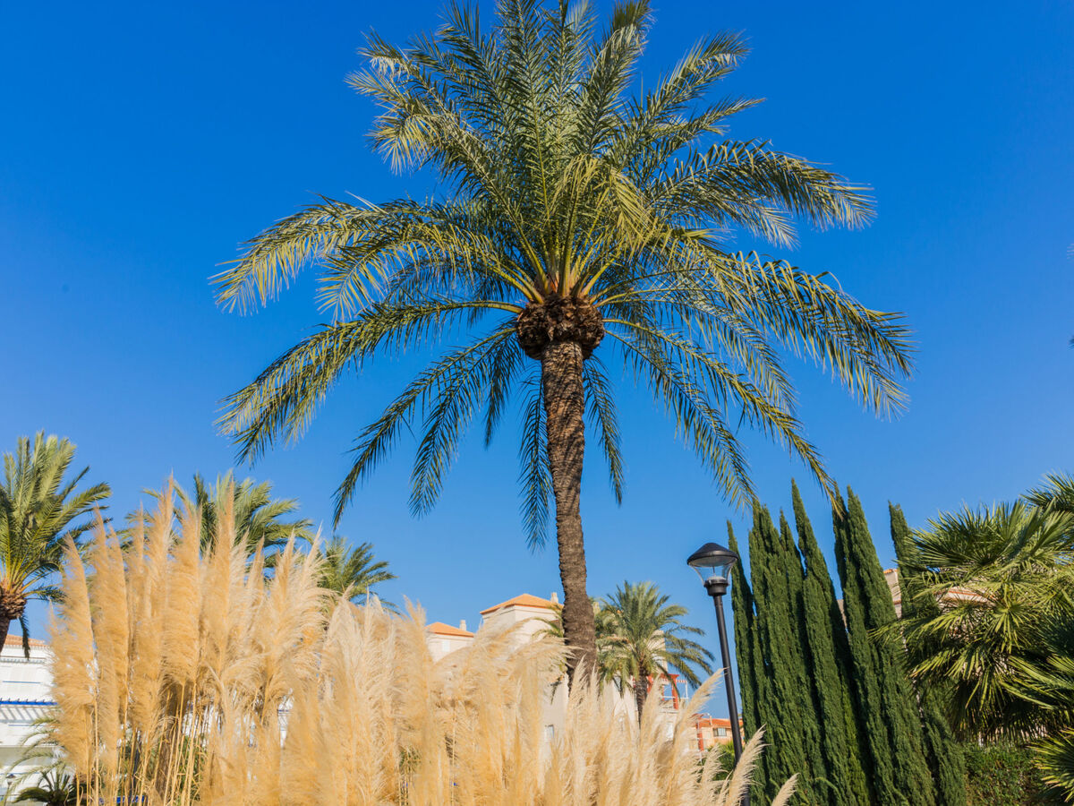 Studio Cala Blanca avec piscine à 400 m de la plage - Photo 20