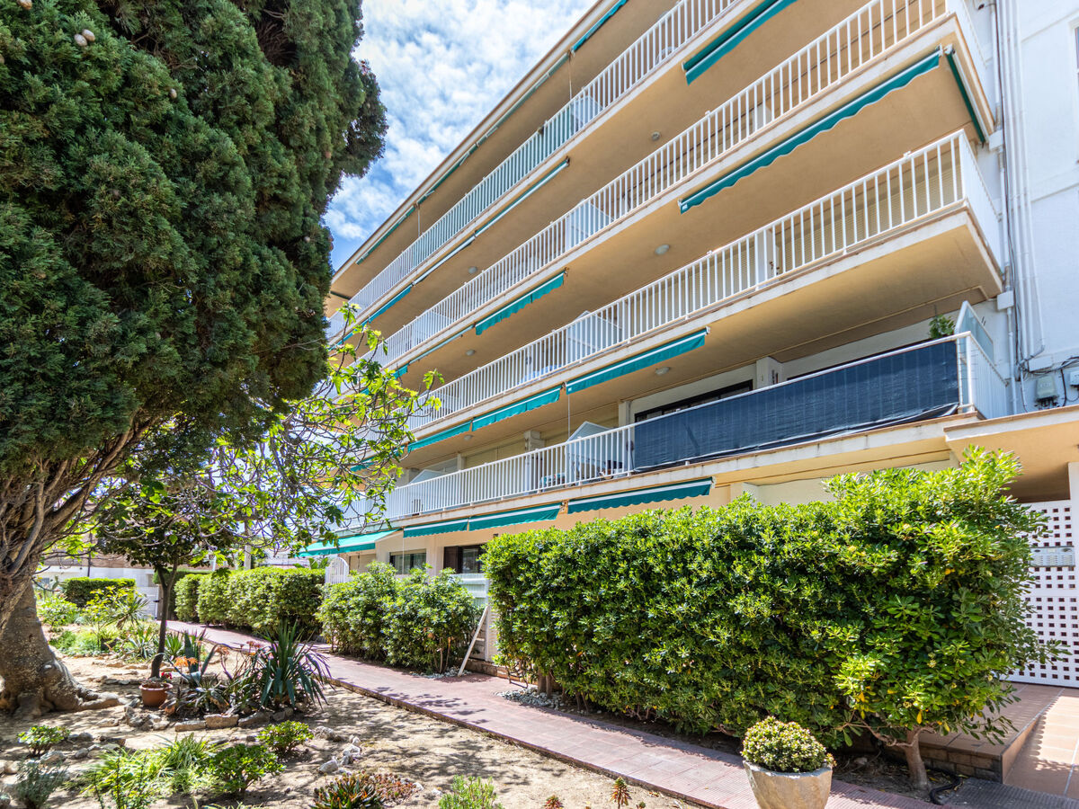 Rapova, appartement 43m² rénové à 400m de la mer - Photo 2