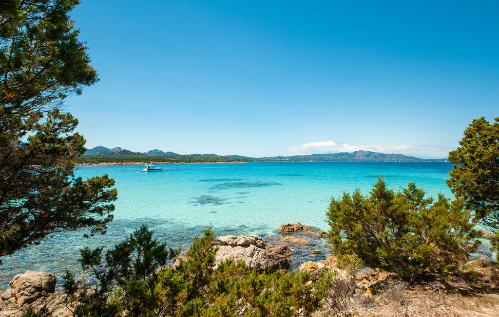 Bilo vista mare, Appartement 4 personnes à Golfo Aranci - Photo 18