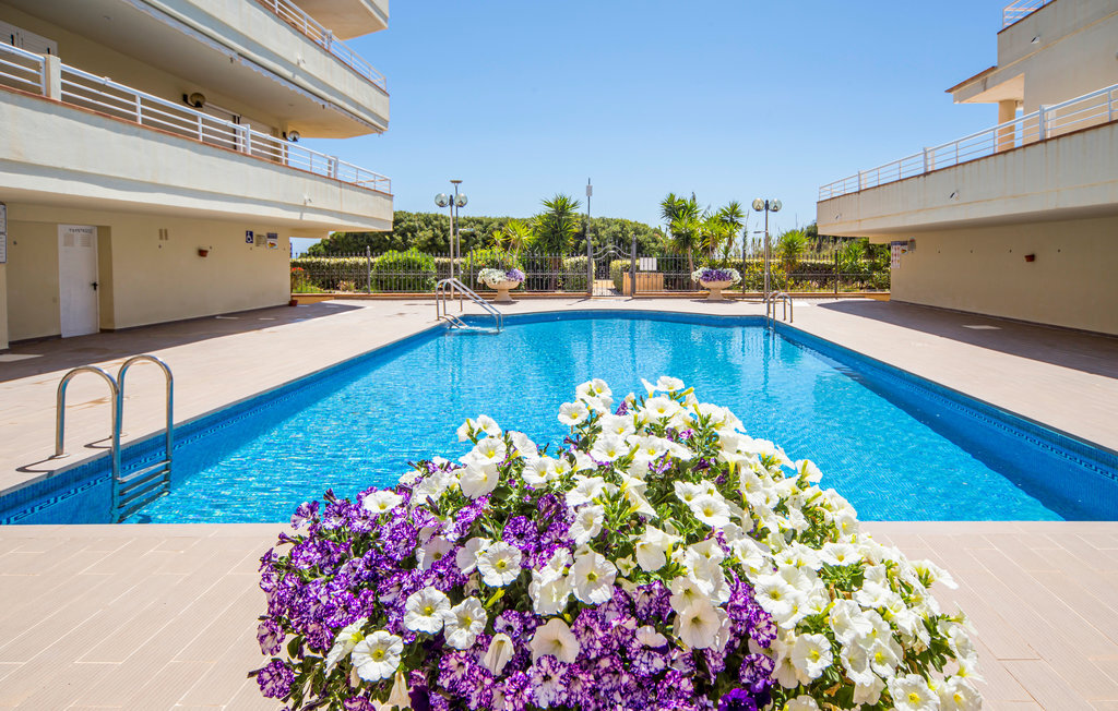 Appartement vue mer avec terrasse à Alcossebre - Photo 6