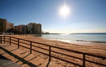 Appartement 1 chambre à Torrevieja, plage à 300 m, piscine partagée : photo 11