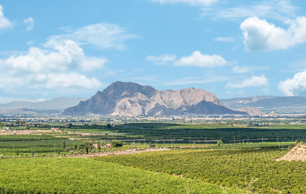 Appartement 4 personnes à Algorfa - Photo 19