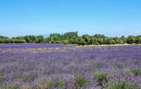 Gîte 45 m² en pierre à Villes-sur-Auzon : photo 13