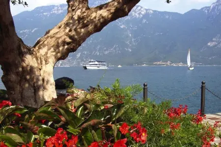 Residence Oasi, Limone sul Garda-trilo, Appartement à Limone avec parking - Photo 29
