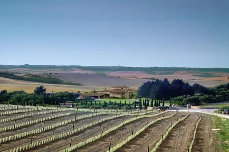 Ferienanlage Borgo della Meliana Gambassi Terme Typ Trilo, Appartement en Toscane avec Golf - Photo 5