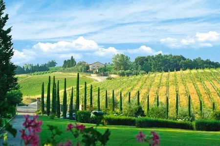 Ferienanlage Borgo della Meliana Gambassi Terme Typ Trilo, Appartement en Toscane avec Golf - Photo 10