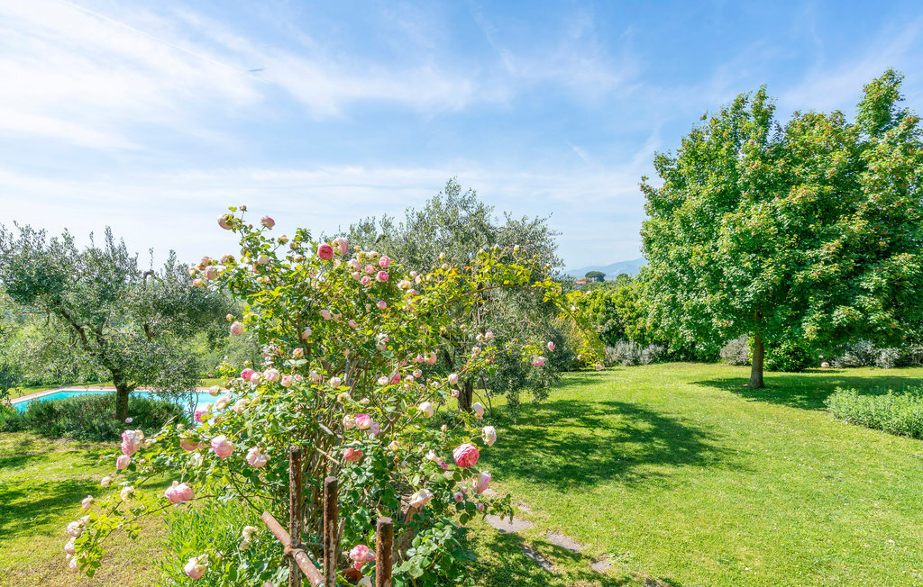 Villa Le Selve, Appartement 6 personnes à Lari - Photo 18