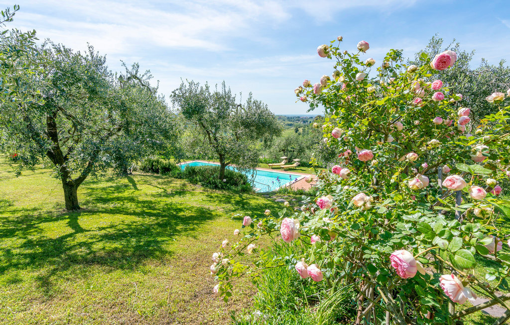 Villa Le Selve, Appartement 8 personnes à Lari - Photo 14