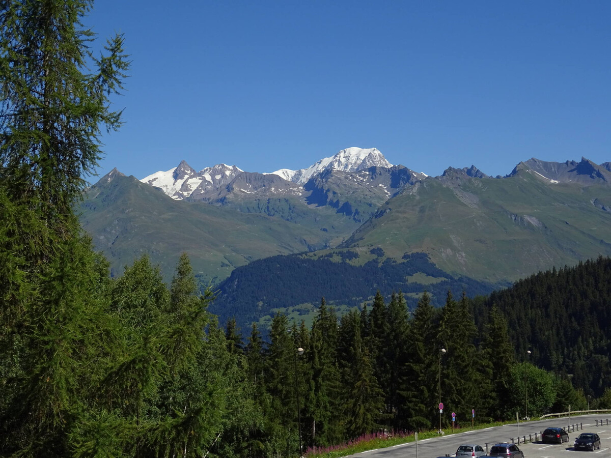 Studio 29m² 5 pers, 15ème étage, vue Mont-Blanc - Photo 4