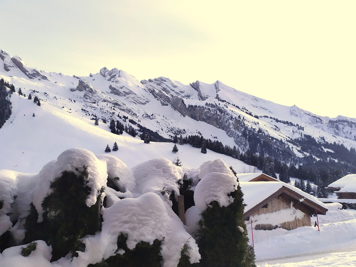 Rez-de-chalet 6 pers, terrasse Sud, La Clusaz - Photo 20