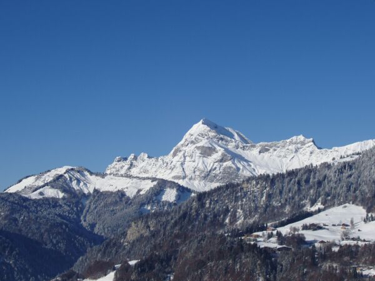 Duplex 37m² balcon Sud-Ouest, vue Mont Charvin - Photo 16