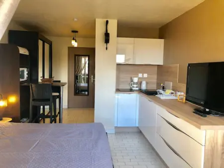 Studio climatisé 2 pers. avec terrasse et piscine à Agde : photo 4