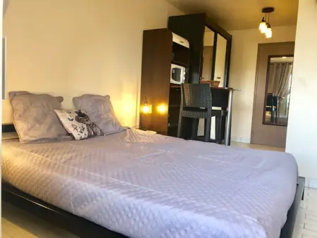 Studio climatisé 2 pers. avec terrasse et piscine à Agde : photo 6
