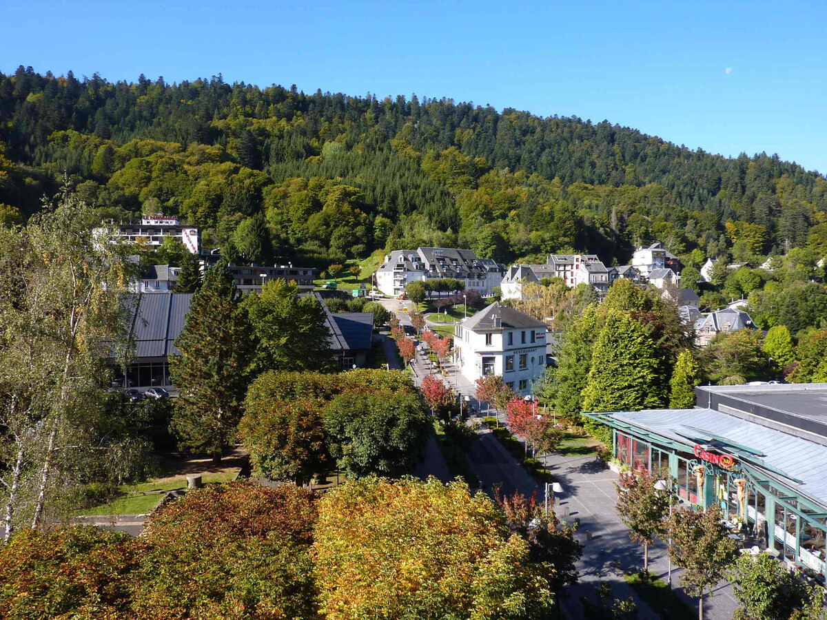 Appartement T2 lumineux avec vue montagne, Mont-Dore - Photo 3